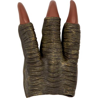Griffe de dinosaure