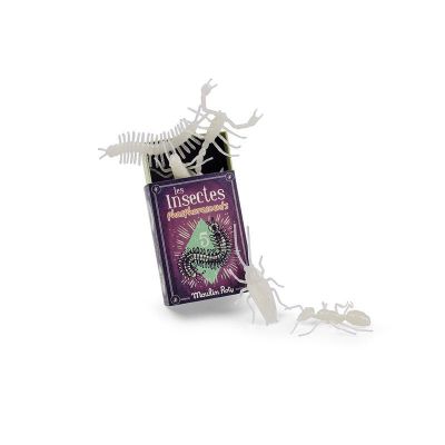 5 insectes phosphorescents - Les Petites Merveilles