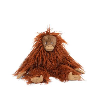 Petit orang-outan Tout autour du monde
