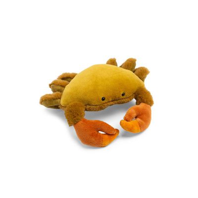 Petit crabe - Tout autour du monde 