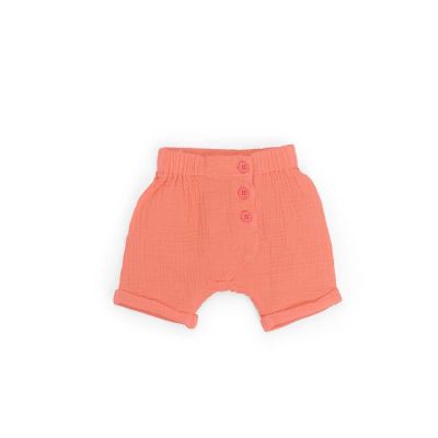 Louis short Wouf Wouf