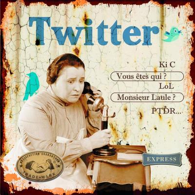 Plaque en métal Twitter