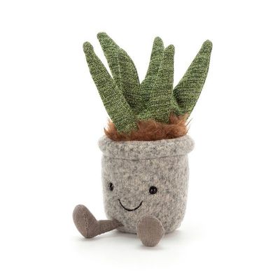 Plante Succulente Aloe