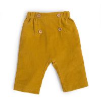 Corentin pantalon velours 