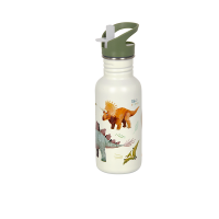 Bouteille Dino 